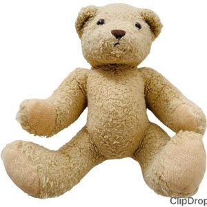 Teddy Bear Soft Toy (G458)